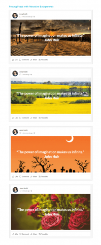 Posting Feeds with Attractive Backgrounds Posting Feeds with Attractive Backgrounds