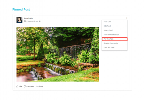 Pinned Post Pinned Post