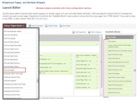 Widgetized Pages, and Multiple Widgets Widgetized Pages, and Multiple Widgets